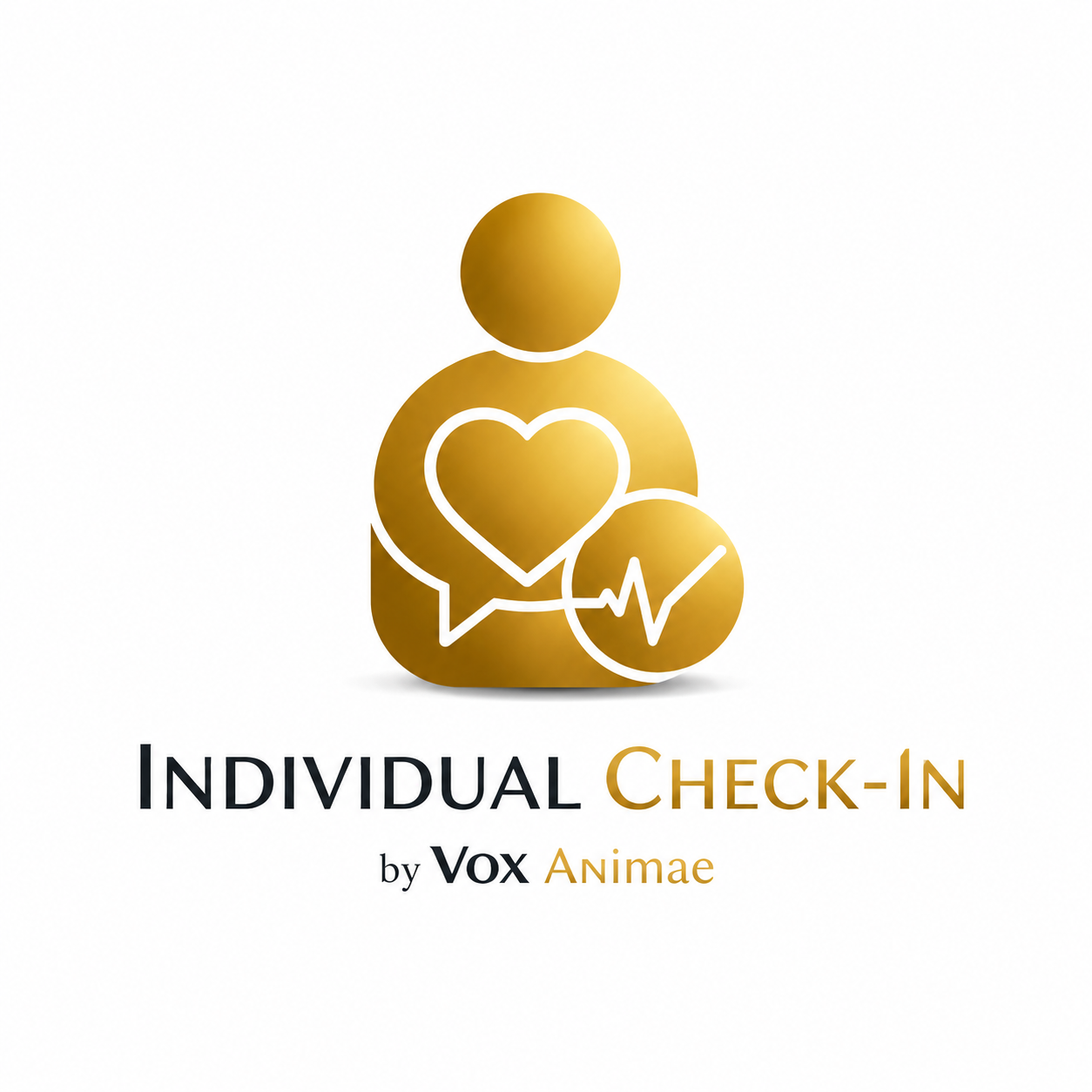Individual Check-In — Facilitator Guide cover